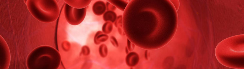 limpiar la sangre